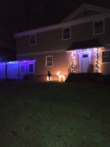 My son visiting a neighbors light display