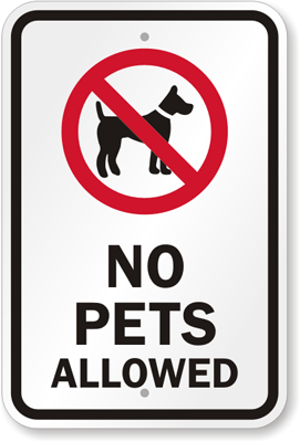 Arlington Condos That Do Not Allow Pets