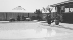 How Common Are Homes with Pools in Arlington?