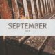 September Arlington Real Estate Sales Bounce Back from Last Year