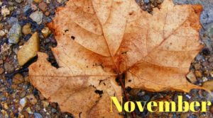 Busier November Real Estate Sales in Arlington