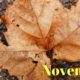 Busier November Real Estate Sales in Arlington