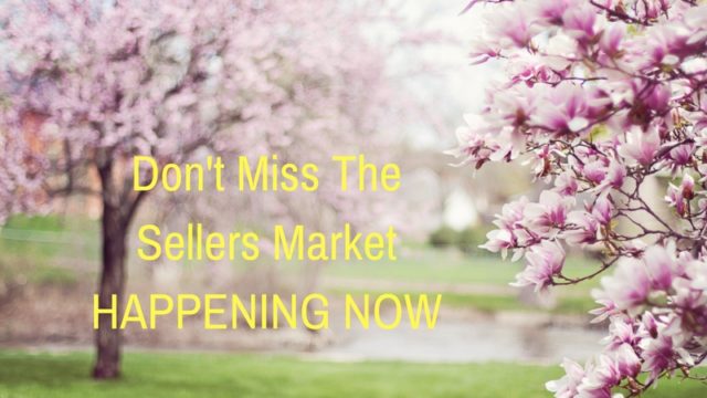Happening Now Arlington Sellers Market: Don’t Miss It